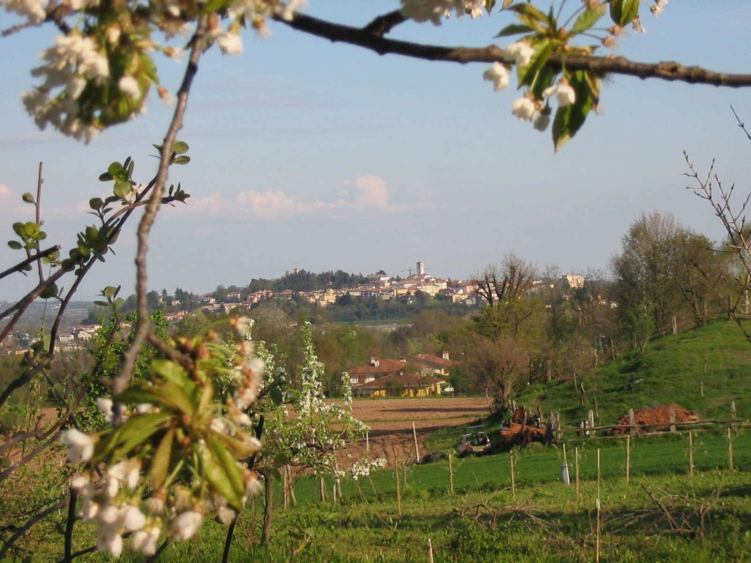 Alojamento de Turismo Rural Casa Rossa Ai Colli Ragogna